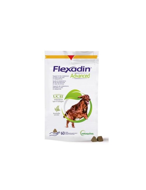 Flexadin Advanced New 60tbl