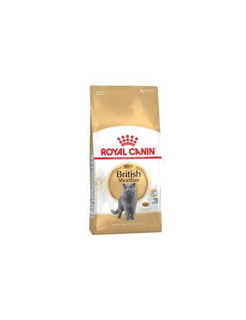 Royal Canin Breed  Feline British Shorthair  10kg